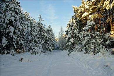《奥日》工作室买回其新游《恶意不息》发行权 称这样更好